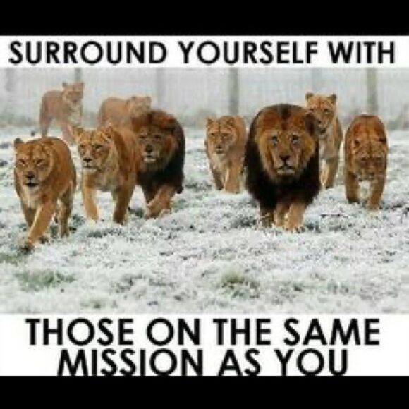 ISO Disney 50th Celebration McDonalds Toys For TRADE ONLY PFFS Girlsquad - Picture 4 of 15